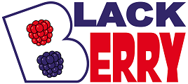 logotipo de academia