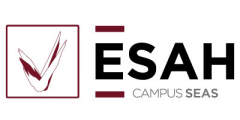 logotipo de academia