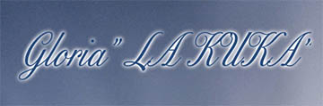 logotipo de academia