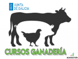 logotipo de academia